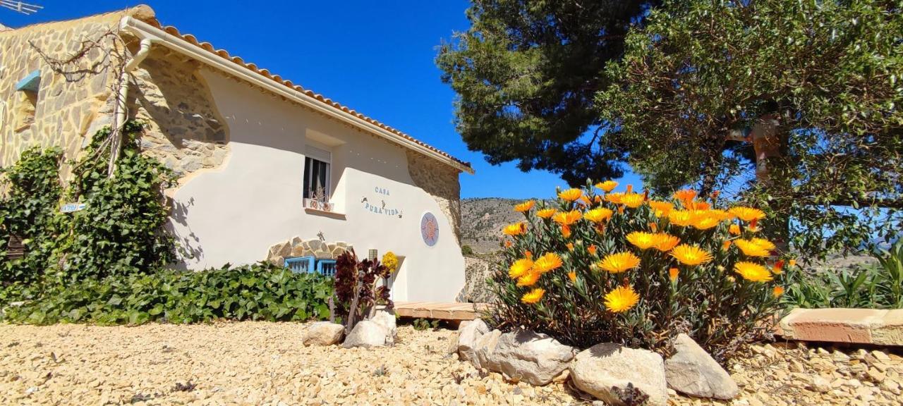 Casa Pura Vida Bed & Breakfast Relleu Ngoại thất bức ảnh